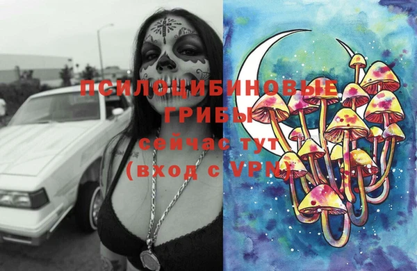 экстази Елизово