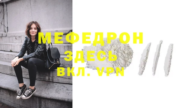 трава Ельня