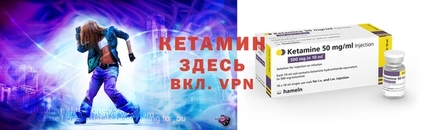 трава Ельня
