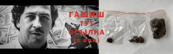 прущие грибы Заводоуковск