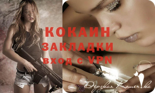 трава Ельня