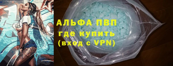 трава Ельня
