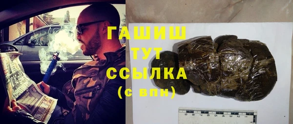 трава Ельня