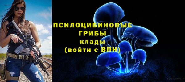 трава Ельня