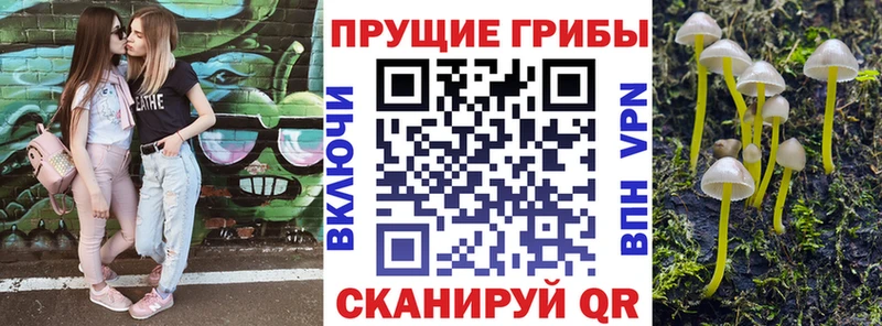 где купить наркотик  Магас  сайты даркнета как зайти  Псилоцибиновые грибы мухоморы 